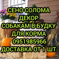 ДЕКОР. Доставка сена лугового, люцерны, соломы в тюках