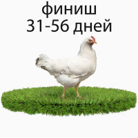 Комбикорм для бройлера финиш ООО ТД ТОРМИКС