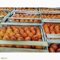 Продам хурму грузинскую