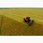 Комбайн Massey Ferguson T7