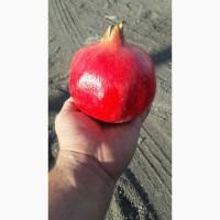 Гранат и фрукты из Испании