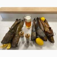 Кларієвий (клариевый) сом