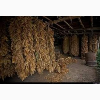 Продам табак привезен с Европы Берли Вирджиния Молдавский- Гильзы Машинки Портсигары