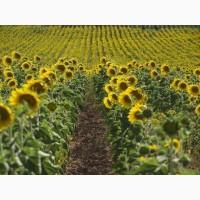 Продам агропредприятие