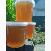 Продам свіжий липовий мед