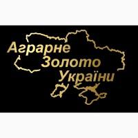 Очистка семян на фотосепараторе