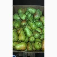 Продам груши из своего сада сорта - Ноябрьская и Рикс