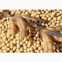 Куплю Сою Волинська обл