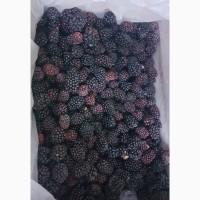 Купуємо Ожину