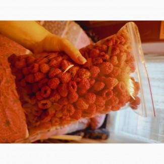 Продам малину сушену