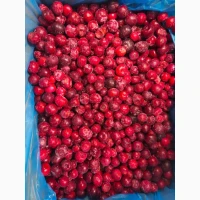 Продам вишню охолоджену/заморожену