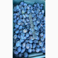 Продам товарну сливу, Стенлей (Угорка)