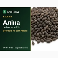 Аліна - фацелія, насіння еліта, РН-1 з документами