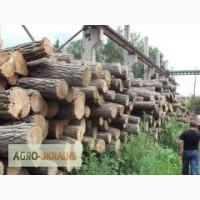 Куплю дрова акации и дуба (кругляк) оптом