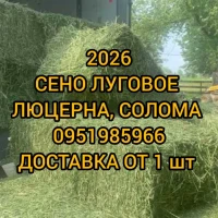 Сено для сельхозживотных с доставкой. Луговое, люцерна, солома