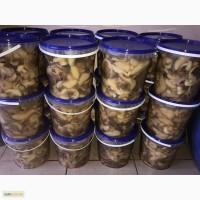 Продам! Грибы маслята оптом