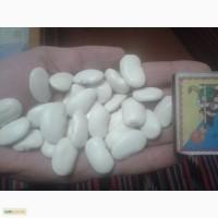 Продам квасолю бандоля тичкова, яську королівську на насіння (до 60 шт на 100 гр)