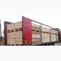 Продам контейнер для хранения фруктов и овощей