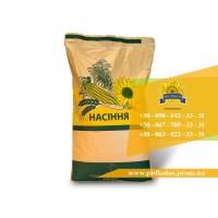 Семена подсолнечника Солтан / Насіння соняшника