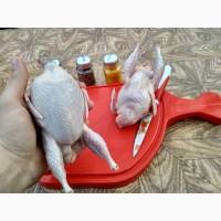 Продаю Мяско перепелов супер качество, супер вес, супер постоянно