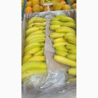 Газація (дозрівання) бананів, цитрусових, помідор, хурми, і тд