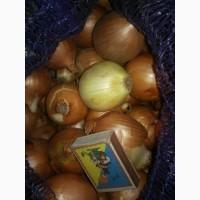 Продам цибулю насіннєву