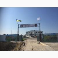 Продаем готовый бизнес. Дешево