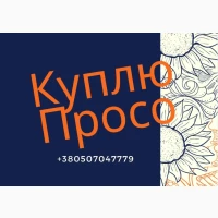 Просо купуємо ваше