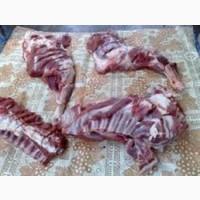 Продам козье мясо
