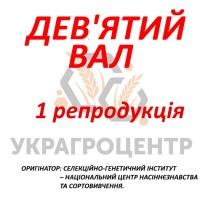 Ячмінь дворучка Дев’ятий вал 1 репродукція 2024р