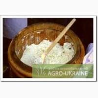 Продам овечью брынзу с Закарпатья