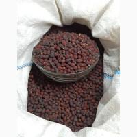 Глід сушений (бояришник). Глод лісовий