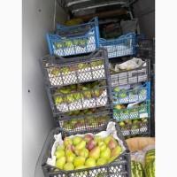 Продам грушу літній сорт Клапа