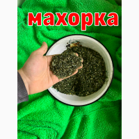 Махорка домашня, не пріла, ферментована, новий врожай