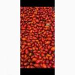 Продам заморожену шипшину