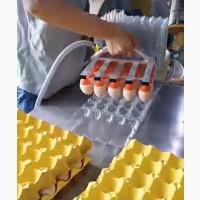 Вакуумний укладач яєць (на 30 шт) STvega Vacuum Egg Lifter H30