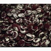 Продам квасолю Лімська