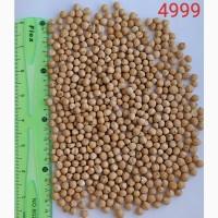 Продам нут (турецький горох, chickpeas) - 5тонн