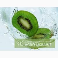 Оптовая продажа цитрусовых Турции, Израиля, Испании, греческий киви, турецкий гранат