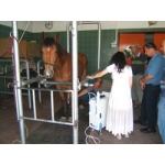 Ударно-волновой аппарат Vetspec