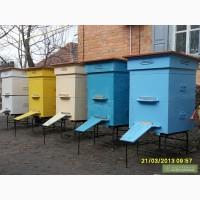 Продам Улей (8 шт., двухкорпусных на рамку 435х230 мм)