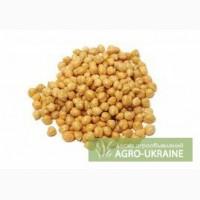 Продам НУТ 150 тон