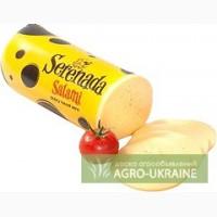Сыры, Польша