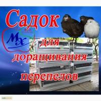 Садок для выращивания перепелов