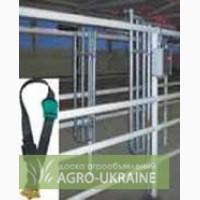 Автоматическая система для определения охоты у коров и телок