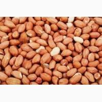 Продам арахіс Болд 50/60 Індія