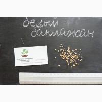 Баклажан белый семена (20 шт), насіння + инструкция + подарок