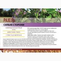 Семена люцерны Рахель, элита (Caussade Semanses) Франция