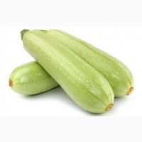 Продам кабачек