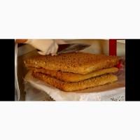 Продам нативный трутневый гомогенат (трутневое молочко) 2023 г